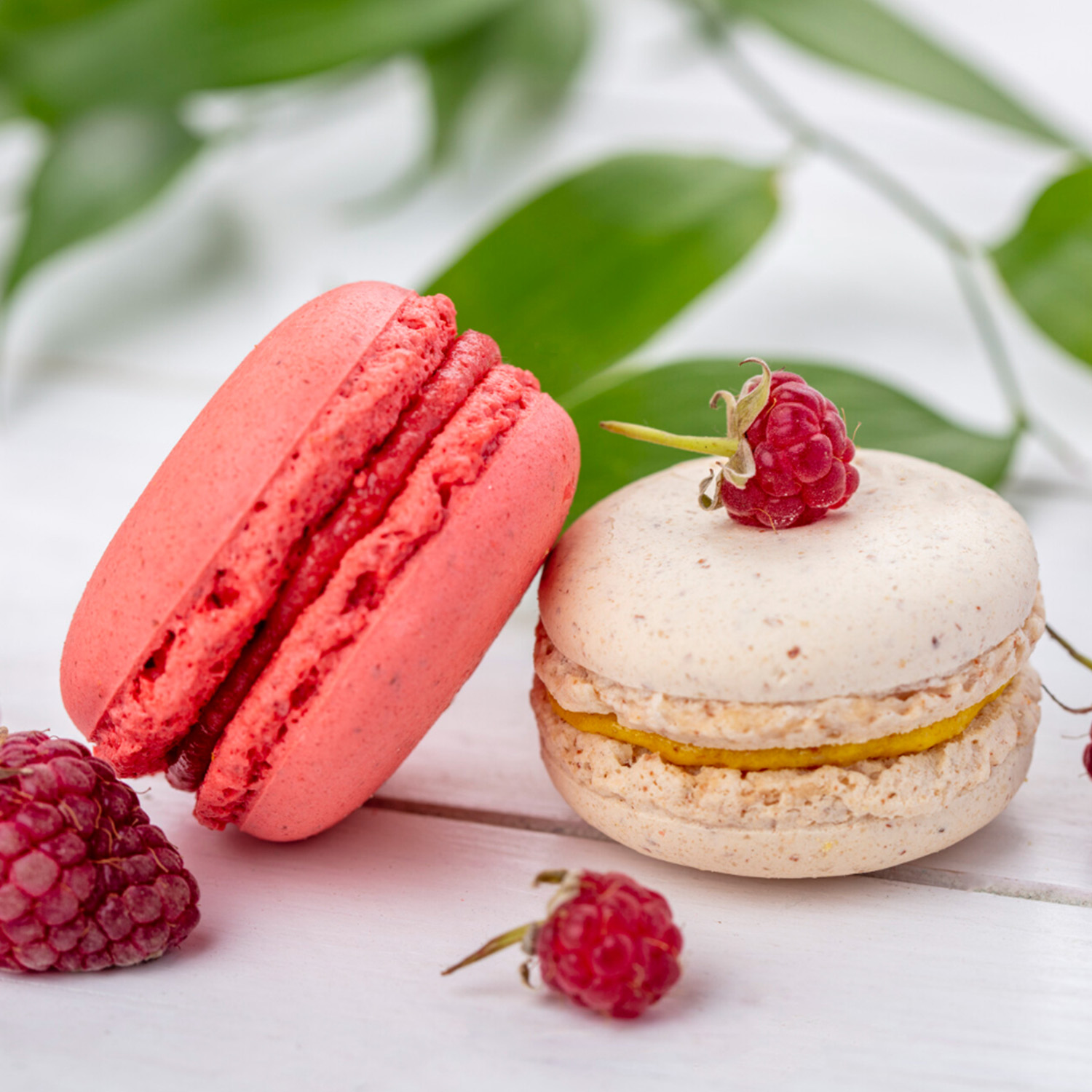 Raspberry macarons